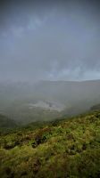 Caldeira, Faial, Horta, Azores, Portugal