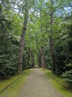 31. Terra Nostra Naturpark, Furnas, Azoren