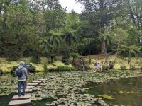 36. Terra Nostra Naturpark, Furnas, Azoren