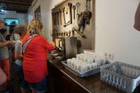 40. Teeplantage Gorreana, Sao Miguel, Azoren