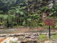 51. Caldeira Velha Naturpark, Sao Miguel, Azoren