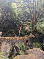 52. Caldeira Velha Naturpark, Sao Miguel, Azoren