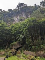 53. Caldeira Velha Naturpark, Sao Miguel, Azoren