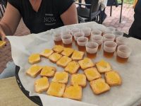 74. Ananasplantage Ponta Delgada, Sao Miguel, Azoren