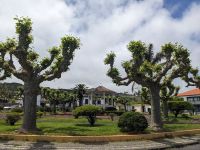 89. Capelas, Sao Miguel, Azoren