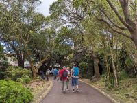 100. Stadtspaziergang Ponta Delgada, Sao Miguel, Azoren