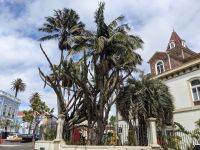 104. Stadtspaziergang Ponta Delgada, Sao Miguel, Azoren