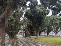 126. Stadtspaziergang in Horta, Faial, Azoren