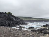 146. Capelinhos Vulkan, Faial, Azoren