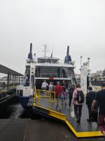 157. Fähre nach Pico, Azoren