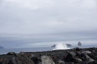 163. Weinanbau auf Pico, Azoren