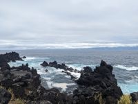 170. Küste von Pico, Azoren