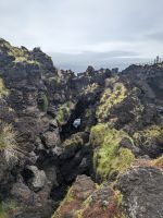 181. Cachorro, Pico, Azoren