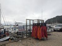 183. Walbeobachtung Horta, Faial, Azoren