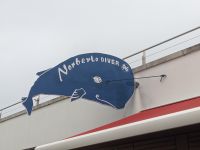 185. Walbeobachtung Horta, Faial, Azoren