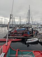 186. Walbeobachtung Horta, Faial, Azoren