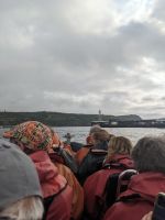 188. Walbeobachtung Horta, Faial, Azoren