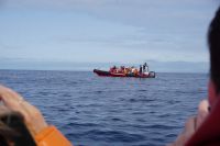 191. Walbeobachtung Horta, Faial, Azoren