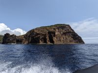 202. Walbeobachtung Horta, Faial, Azoren