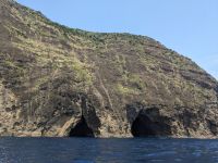 203. Walbeobachtung Horta, Faial, Azoren