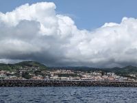 204. Walbeobachtung Horta, Faial, Azoren