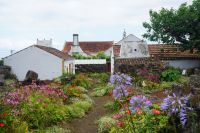 245. Biscoitos Adega Brum, Weinverkostung, Terceira, Azoren