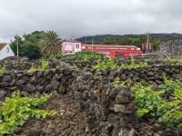 246. Biscoitos Adega Brum, Weinverkostung, Terceira, Azoren