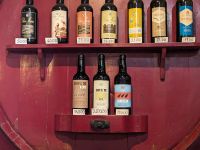 251. Biscoitos Adega Brum, Weinverkostung, Terceira, Azoren