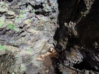 258. Gruta do Natal, Lavahöhle, Terceira, Azoren