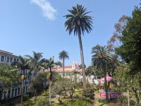 271. Stadtspaziergang Angra do Heroismo, Terceira, Azoren