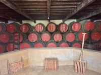 Azoren - Terceira, Weinmuseum