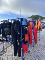 Azoren - Faial, Walbeobachtung