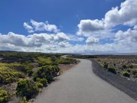 Azoren - Pico Island