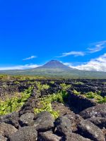 Azoren - Pico Island