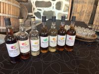 Azoren - Pico Island, Weinverkostung