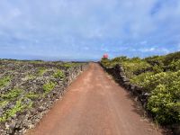 Azoren - Pico Island