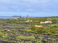 Azoren - Pico Island
