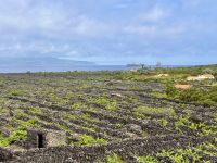 Azoren - Pico Island