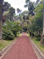 Azoren - Sao Miguel, Botanischer Garten