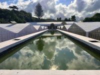 Azoren - Sao Miguel, Ananasplantage