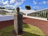 Azoren - Sao Miguel, Ananasplantage