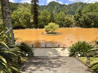 Azoren - Sao Miguel, Park Terra Nostra