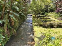 Azoren - Sao Miguel, Park Terra Nostra