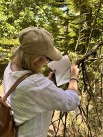 Azoren - Sao Miguel, Park Terra Nostra