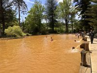 Azoren - Sao Miguel, Park Terra Nostra