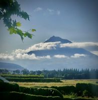 Faial Island, Horta, Azores, Portugal