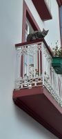 Terceira  - Angra do Heroismo