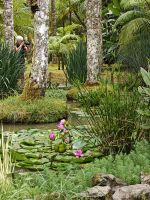 Botanischer Garten Terra Nostra