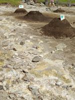 Cozido bei unserem Restaurant Tony