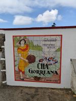 Teeplantage Cha Gorreana